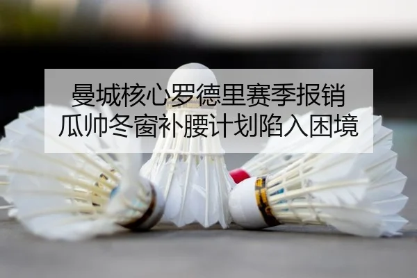 曼城核心罗德里赛季报销 瓜帅冬窗补腰计划陷入困境