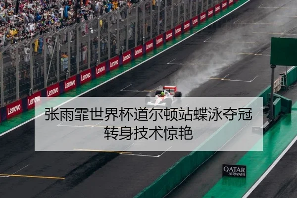 张雨霏世界杯道尔顿站蝶泳夺冠 转身技术惊艳